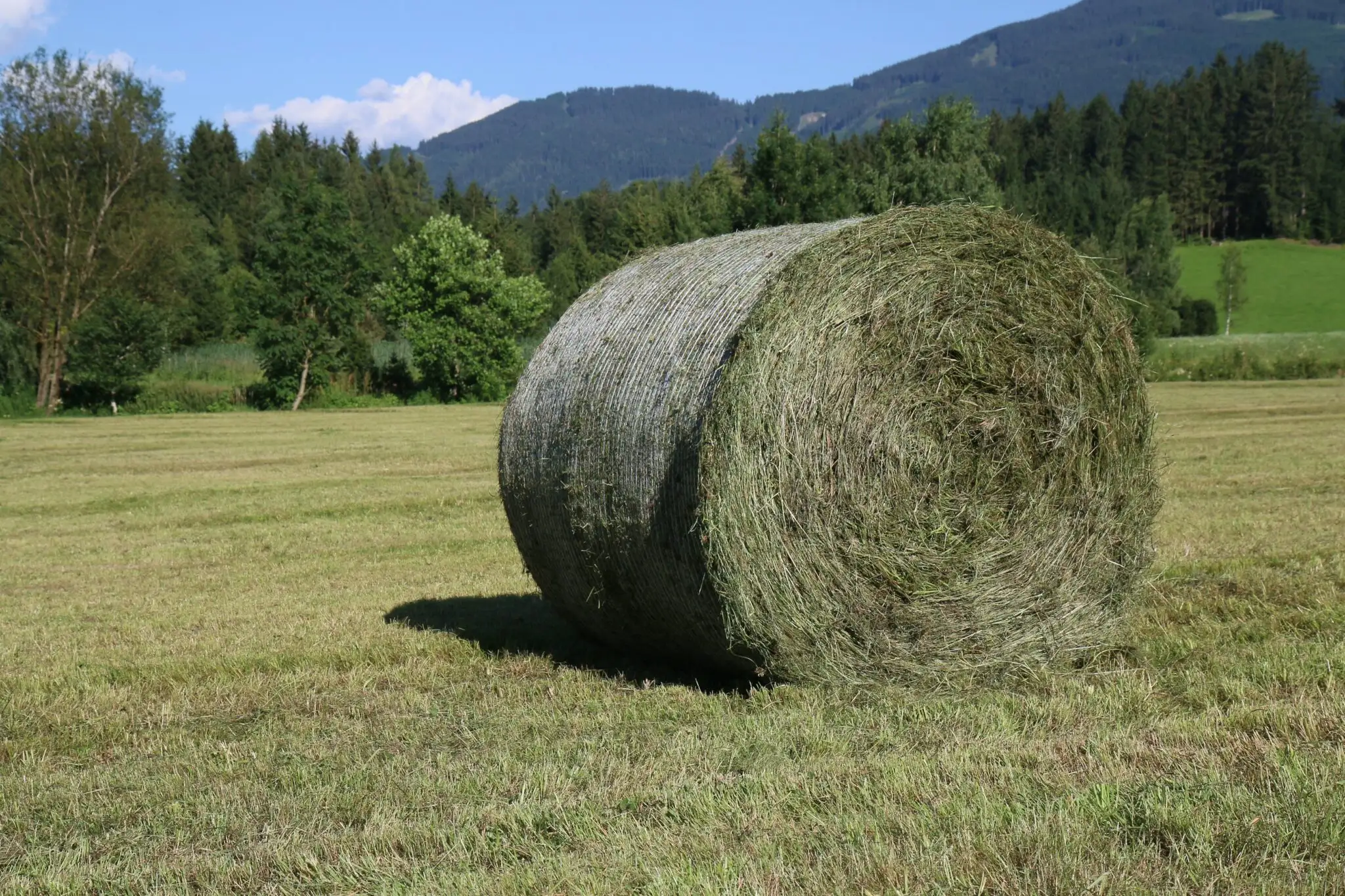 Heuballen