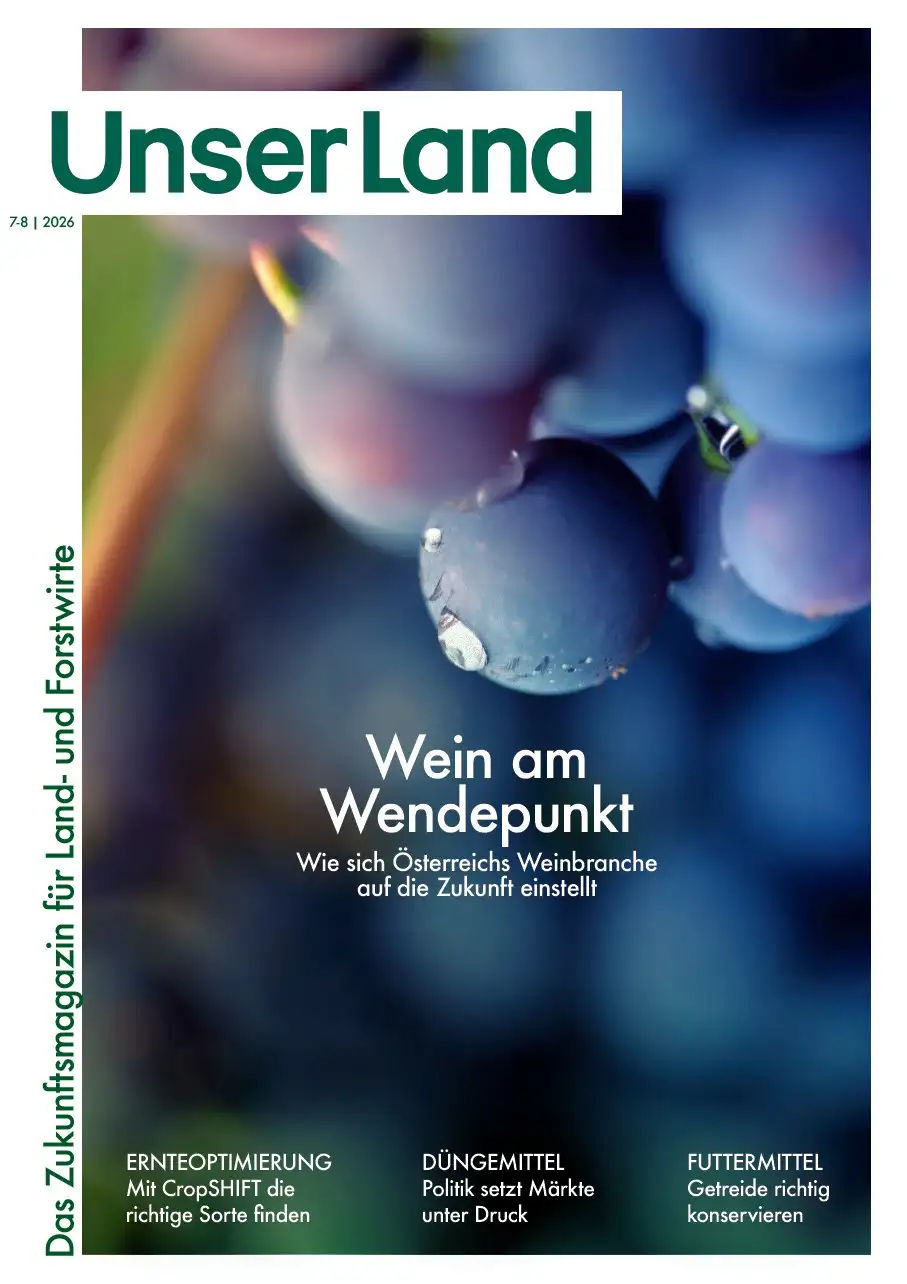 Trauben auf Zeitungscover