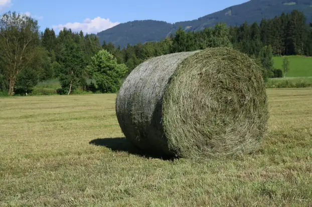 Heuballen
